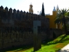 P1020948