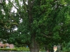 Saalsdorf
