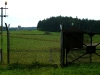 Behringen